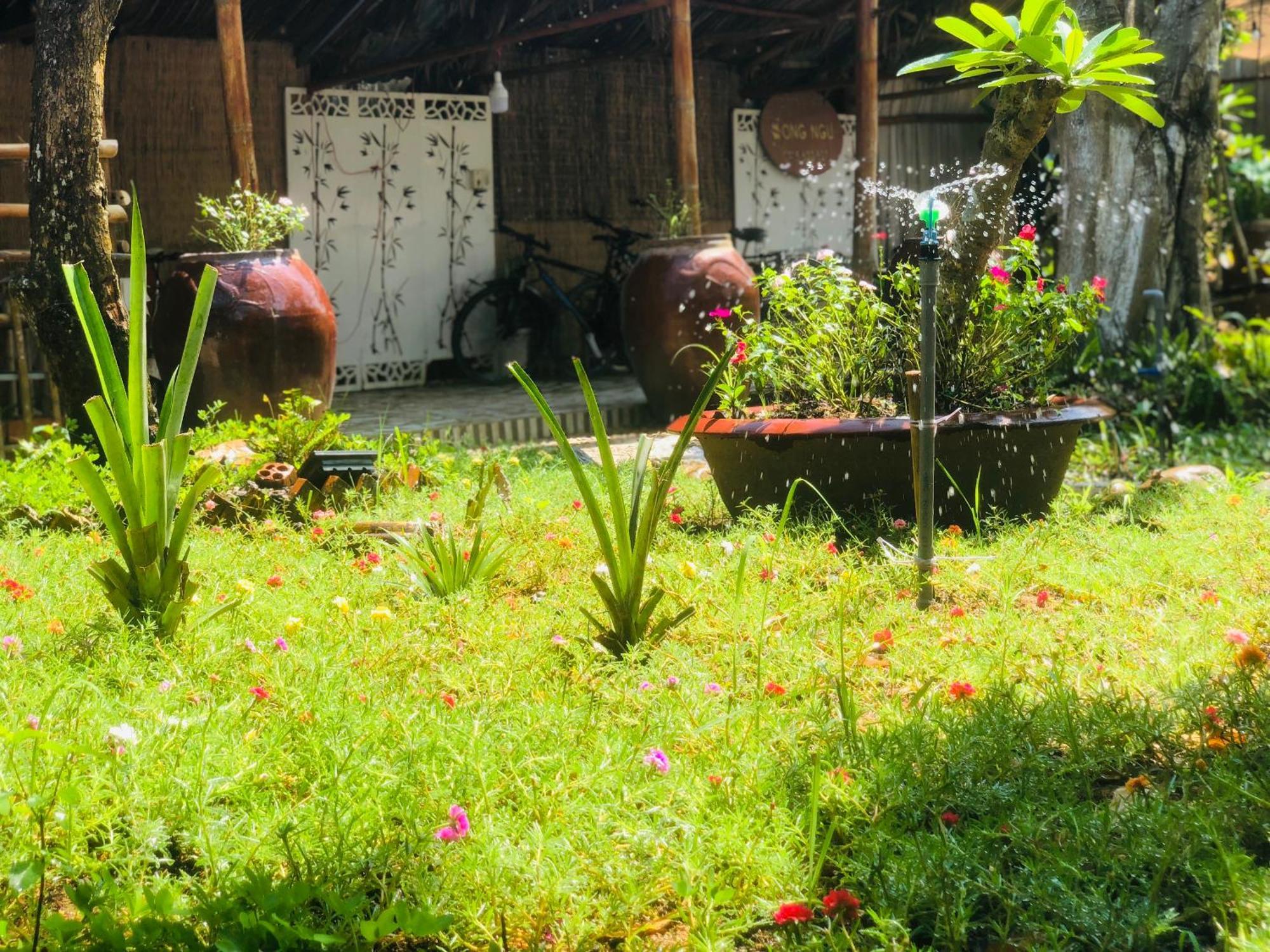 Song Ngu Pisces Homestay Can Tho Exteriör bild